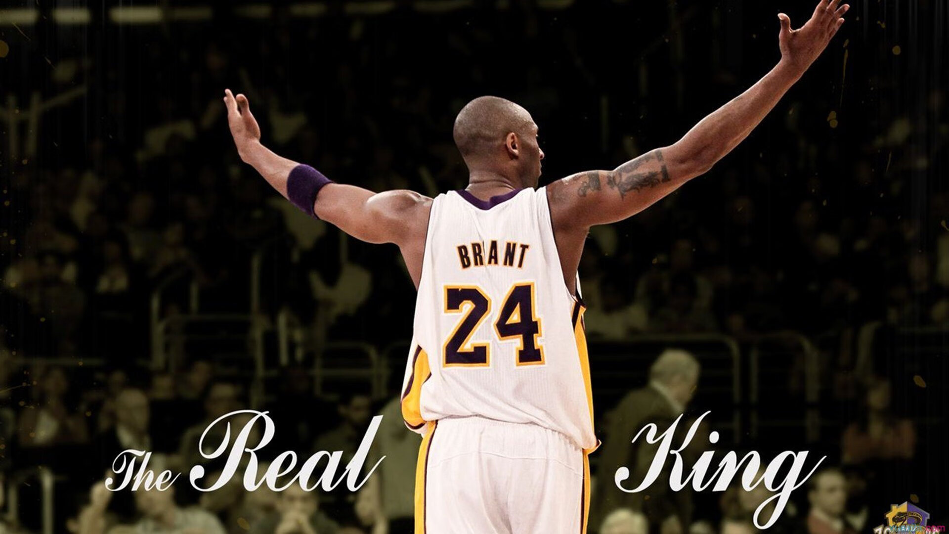 太阳节奏掌控公牛，西决生死战的战术焦点与胜负密码